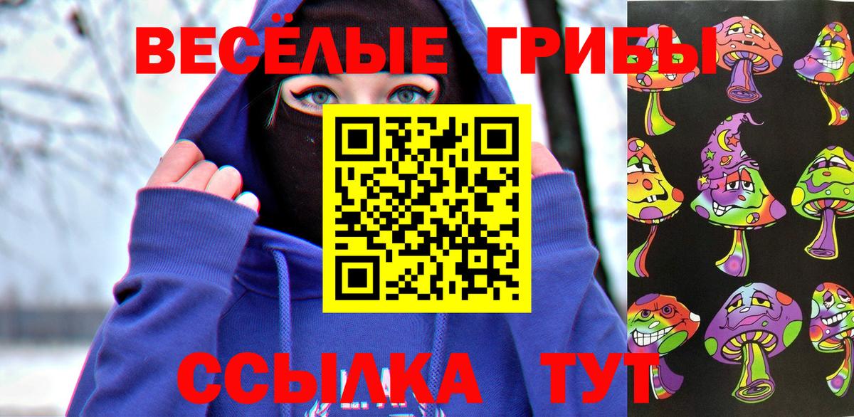 Псилоцибиновые грибы GOLDEN TEACHER  Вход с VPN  Златоуст 